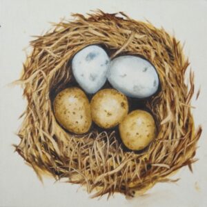 1e Leerjaar Les 19: Nestje