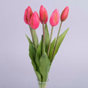 1e leerjaar Les 1: Tulpen